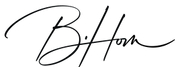 Logofor BridgeToFreedom